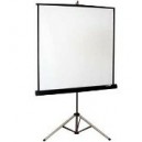 Projector Screen for Hire
