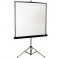 Projector Screen for Hire