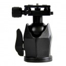 Fancier  Ball Head